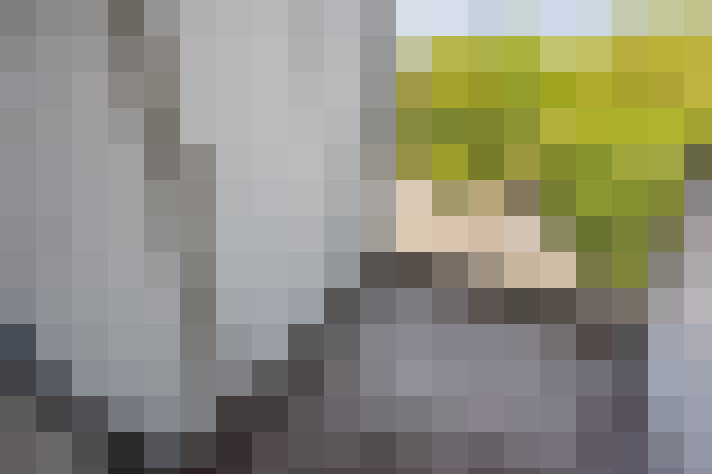  / #15