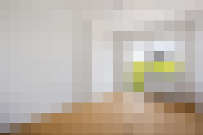  / #11