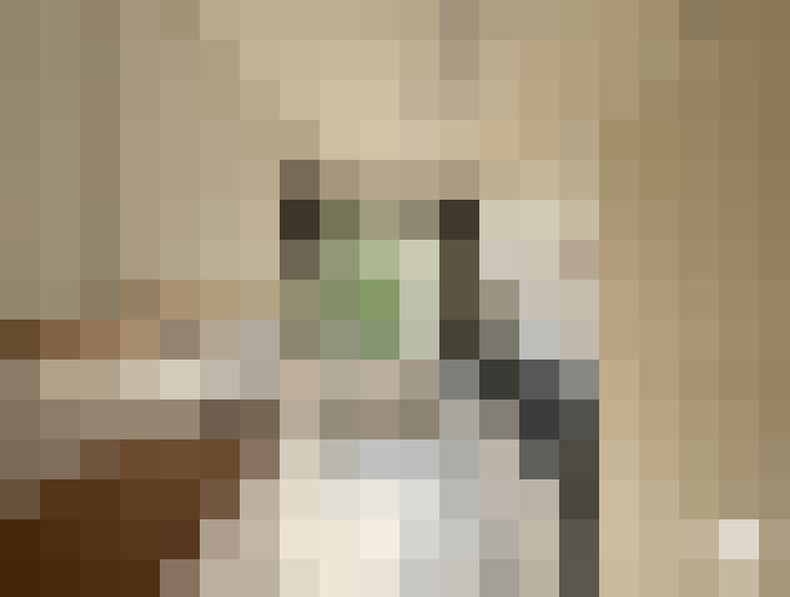  / #15