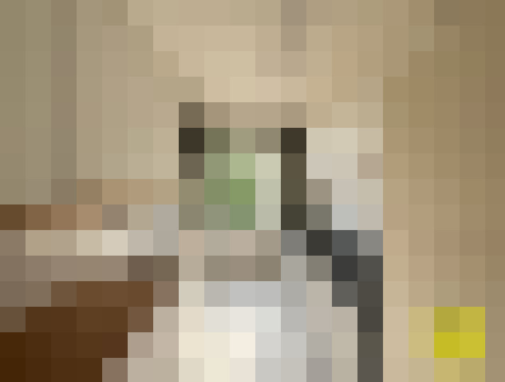  / #16