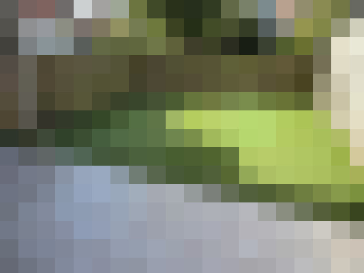  / #13