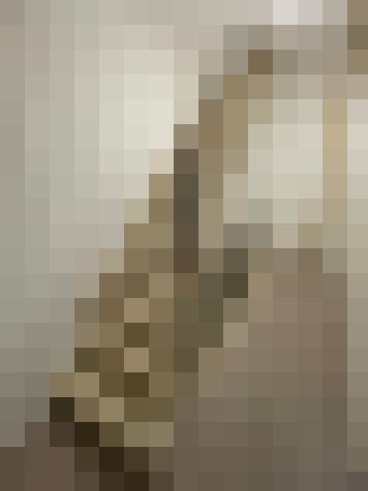  / #12