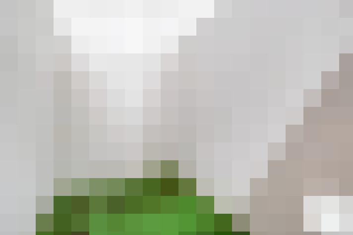  / #20
