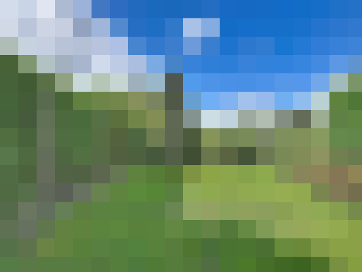  / #14
