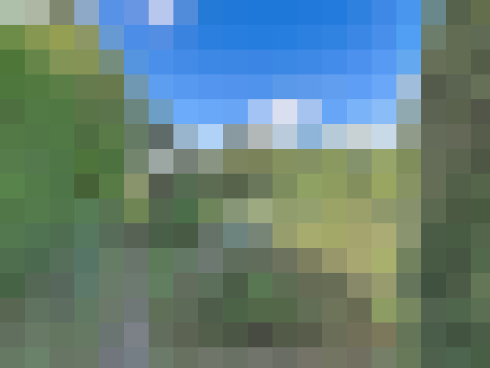  / #15