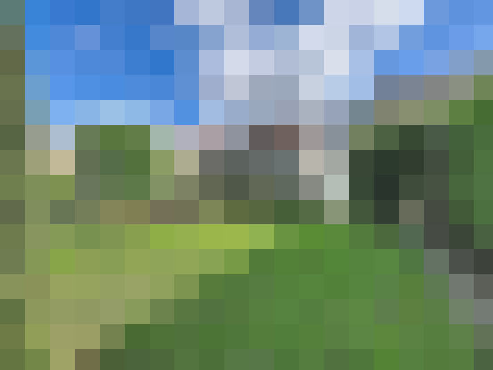  / #13
