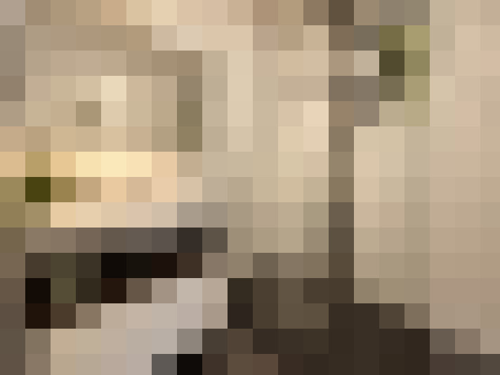  / #19
