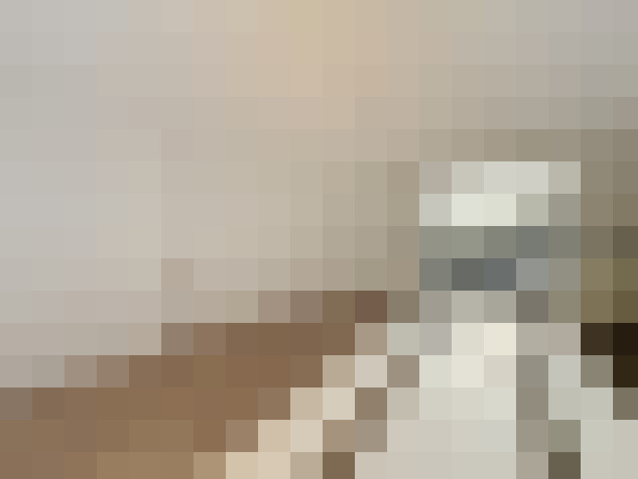  / #15