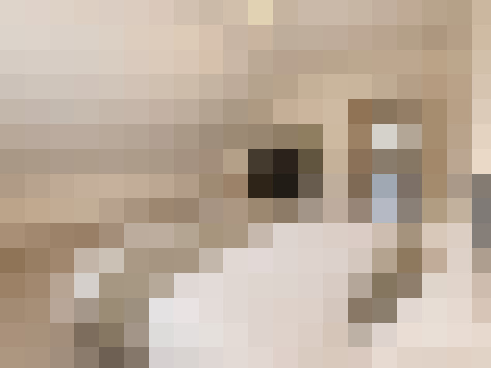  / #20