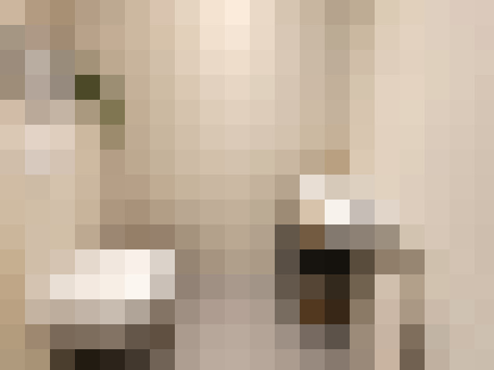  / #16