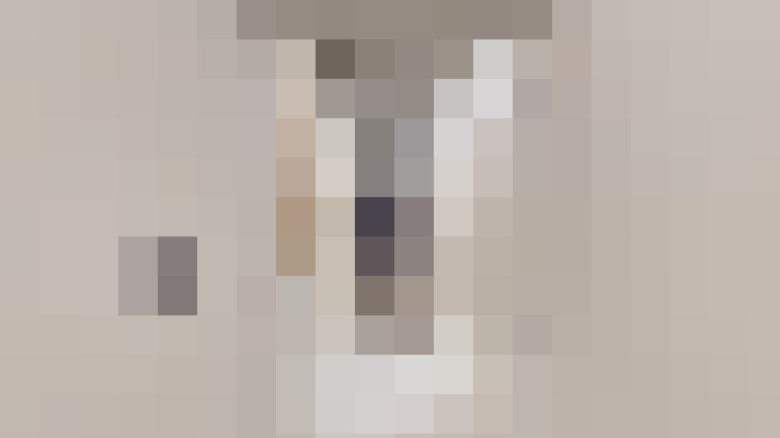  / #10