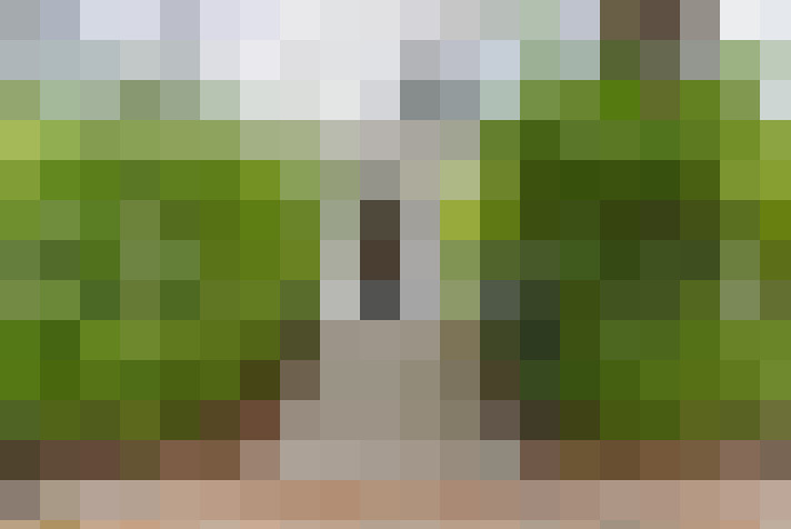  / #19
