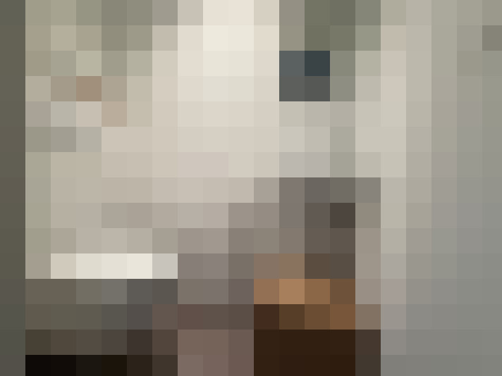  / #13