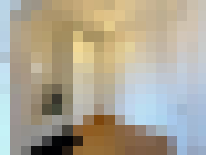  / #15
