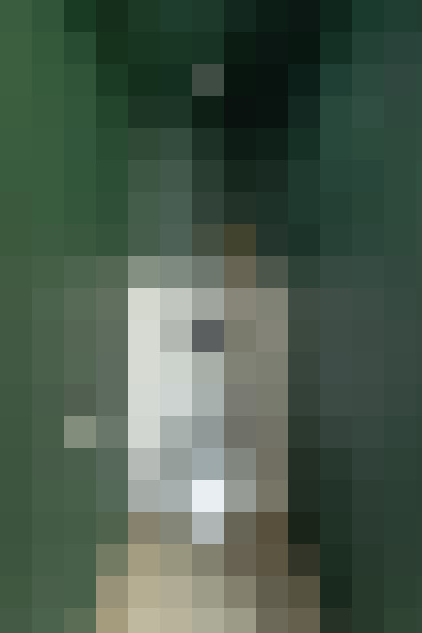  / #9