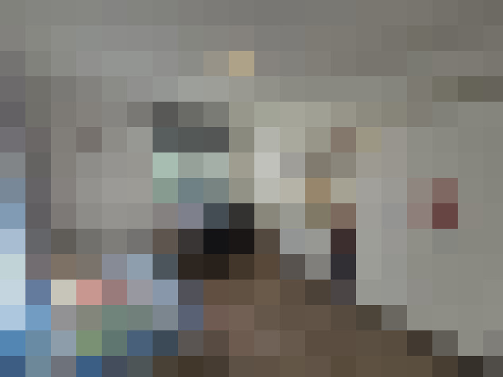  / #14