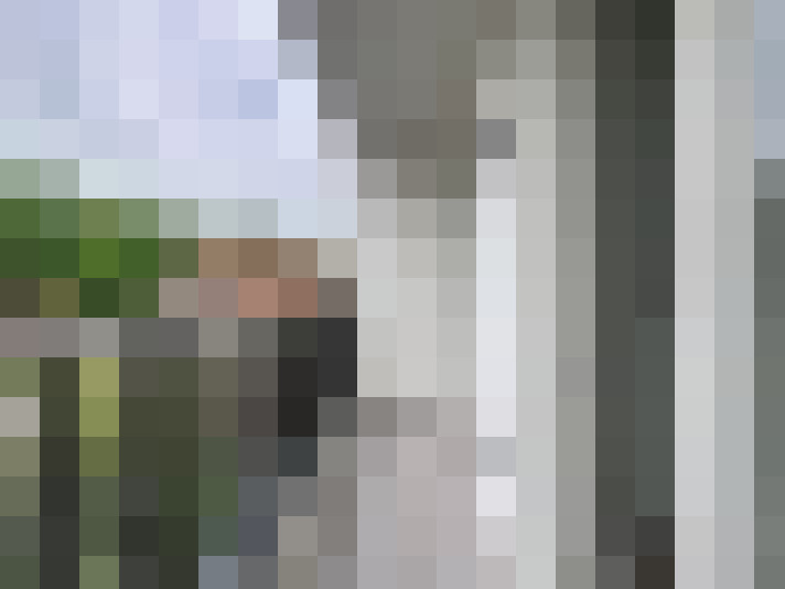  / #15