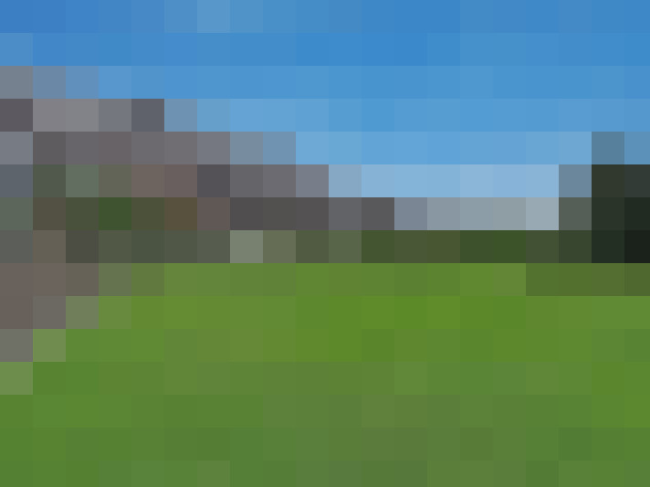  / #6