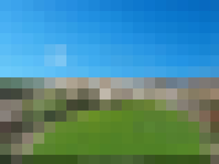  / #19