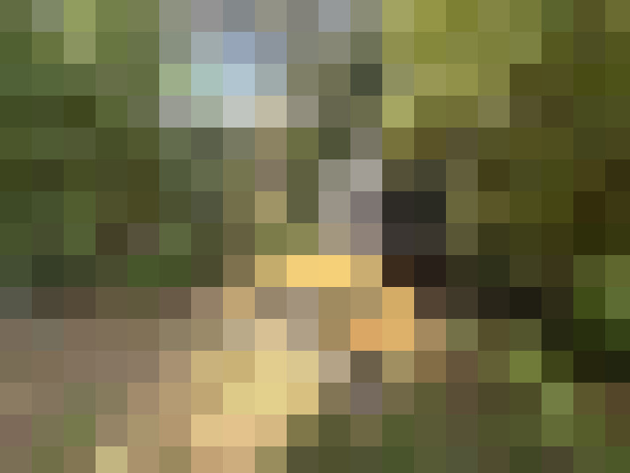  / #17