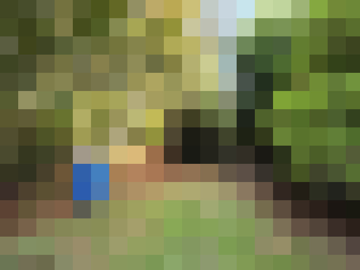  / #16