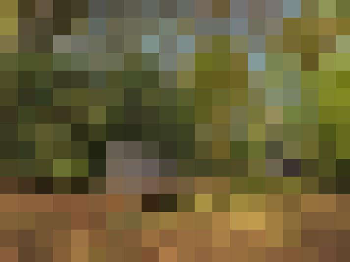  / #18