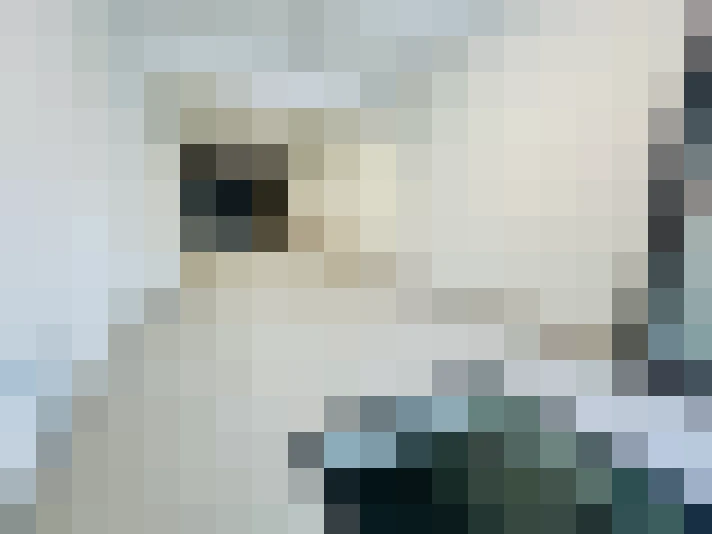  / #22