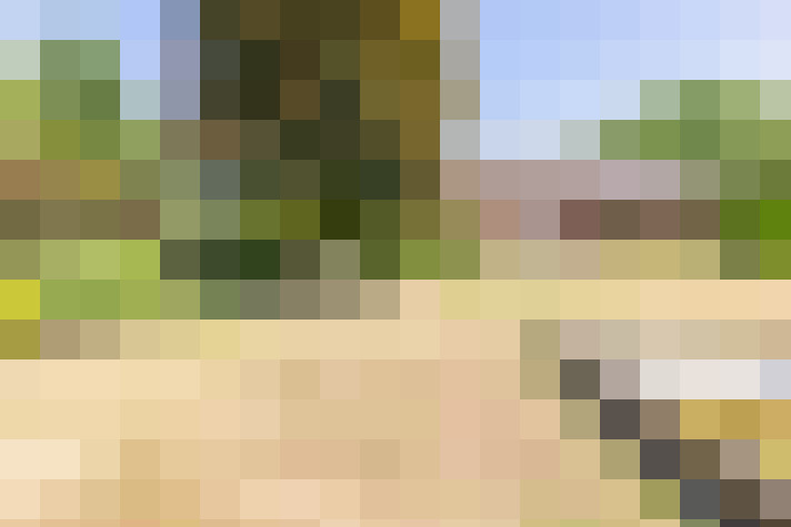  / #17