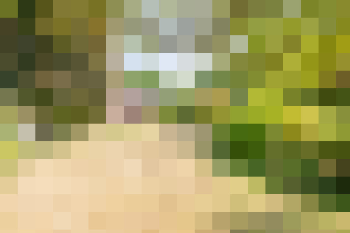  / #16