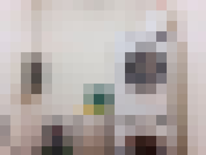  / #17