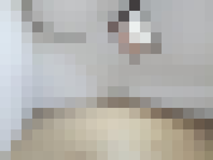 / #16