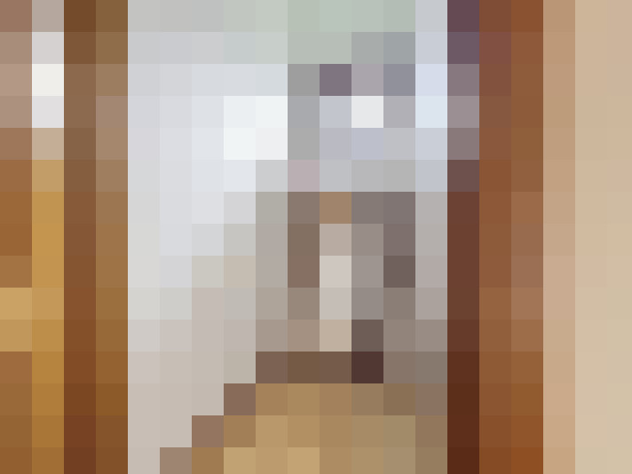  / #19