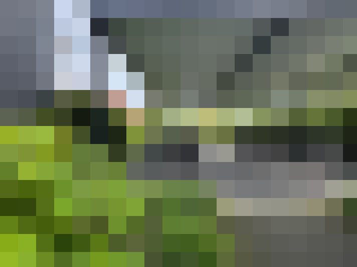  / #20