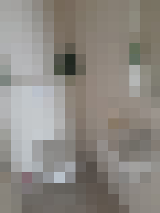  / #20