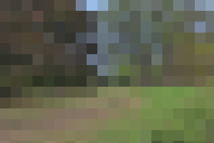  / #14