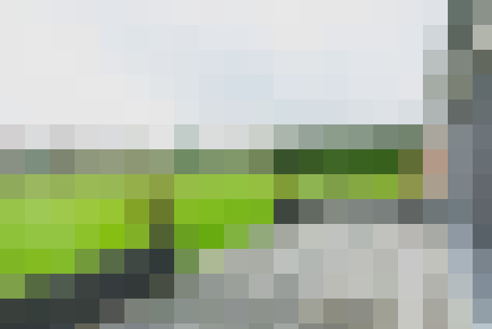  / #15