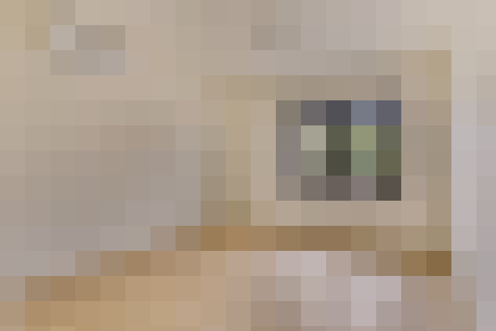  / #11