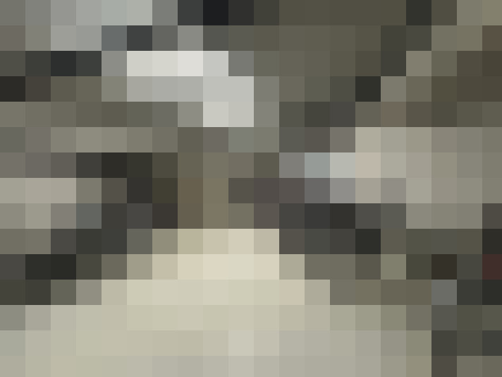  / #23