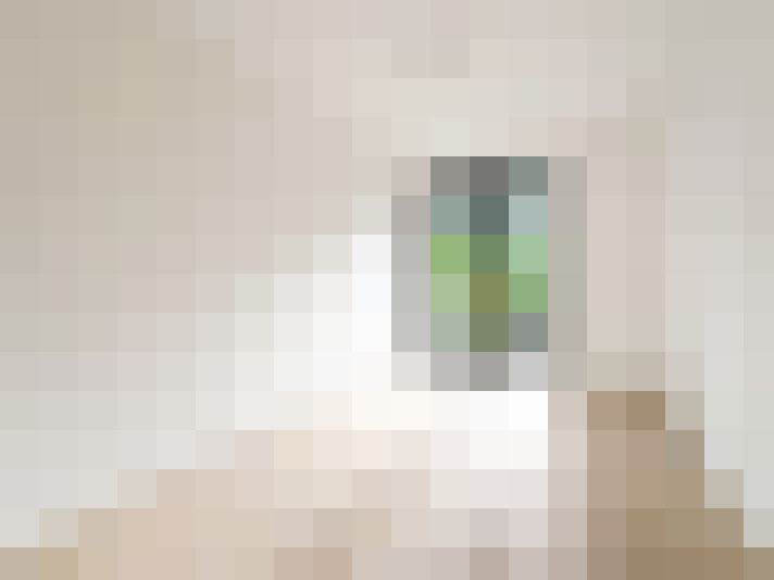  / #16
