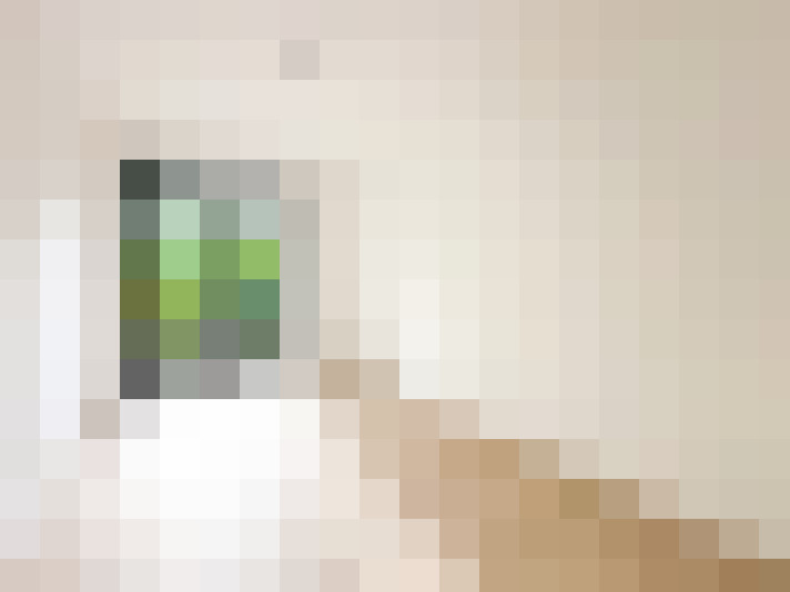  / #17