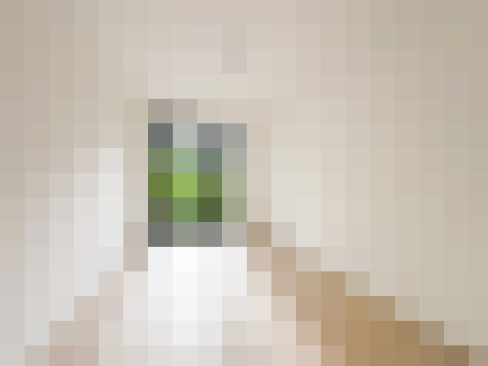  / #19