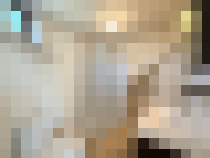  / #14