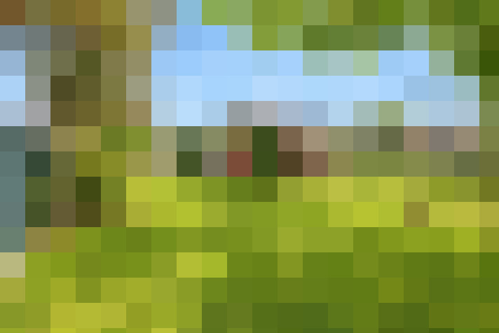  / #14