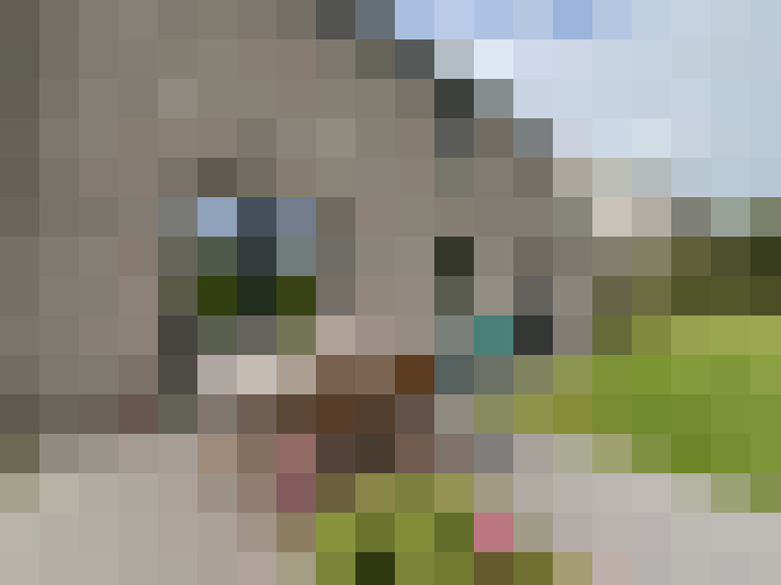  / #16