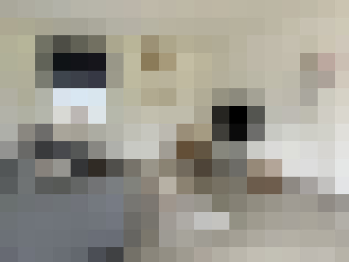  / #7
