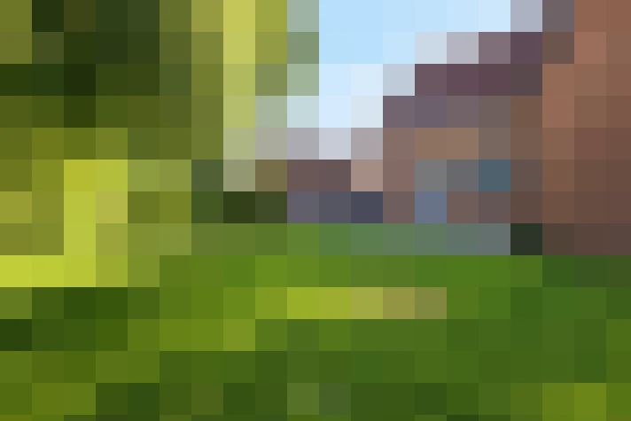  / #15