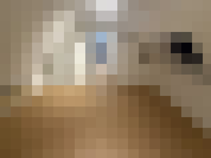  / #8