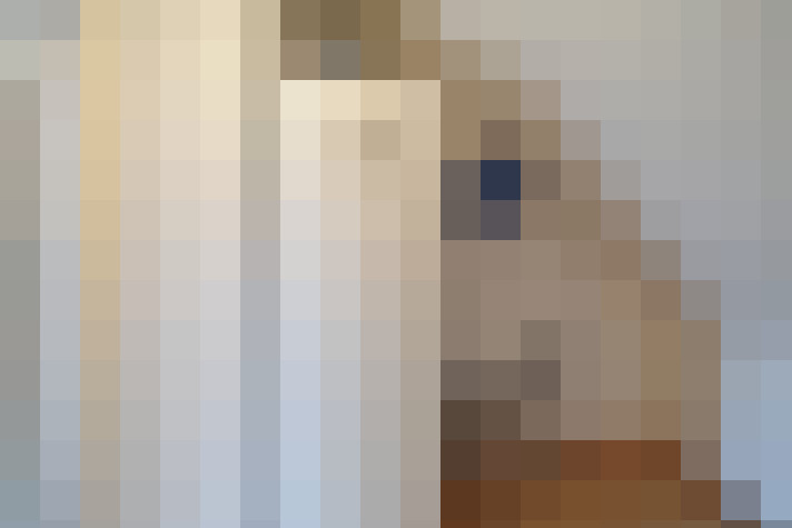  / #20