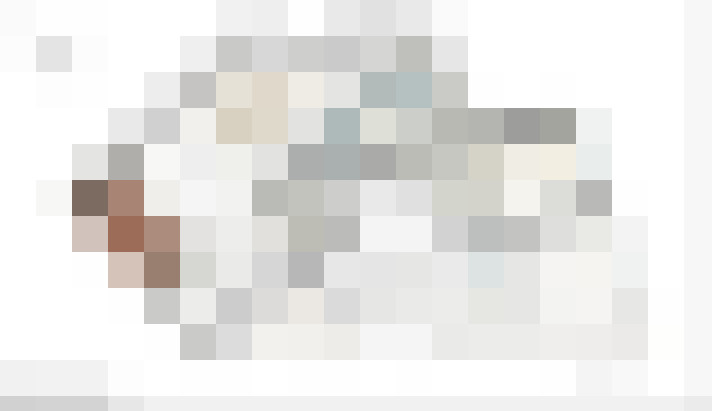  / #18