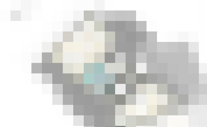  / #19